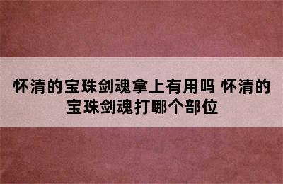 怀清的宝珠剑魂拿上有用吗 怀清的宝珠剑魂打哪个部位